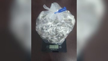 Cerca de 900 porções de drogas foram apreendidas Polícia Civil descobre esconderijo de maconha, cocaína, crack e skunk em Itanhaém (SP) - Divulgação/Polícia Civil