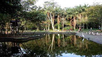 Jardim Botânico de Santos - Prefeitura de Santos