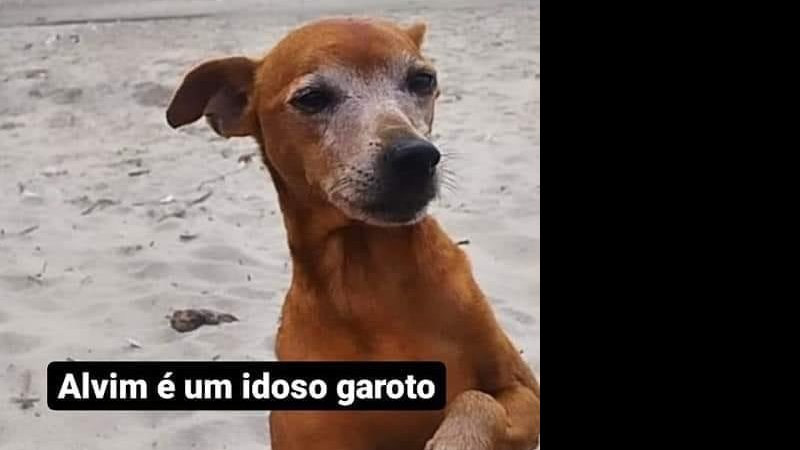 Arquivo Pessoal