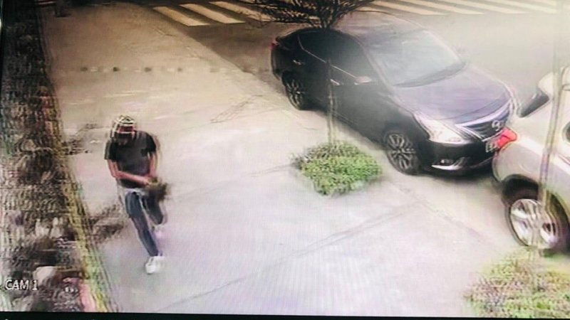 Homem é flagrado vandalizando jardim e roubando plantas, em Cubatão (SP) | VÍDEO - Imagem: Maurici Aragão Tavares