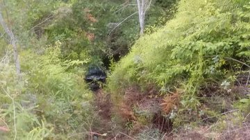 Carro caiu na ribanceira do mirante - Foto: Divulgação Ubatuba Destaque