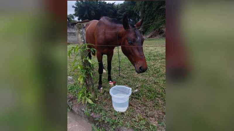 Reprodução/Facebook