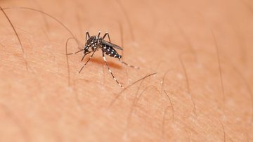 Vacina contra chikungunya desenvolvida por parceira do Butantan tem 98,5% de eficácia - Foto: Divulgação SES São Paulo