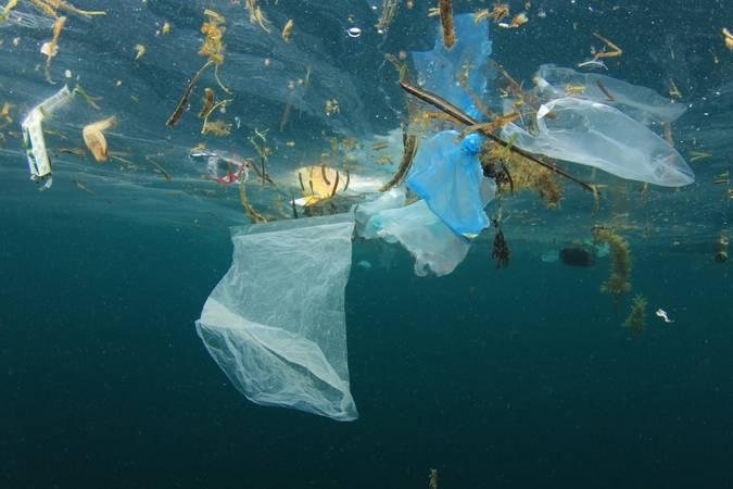 Quem jogar lixo no mar agora pode ser multado em até cinco salários mínimos Comissão do Meio Ambiente aprova projeto que pune quem jogar lixo plástico no mar Imagem de lixo no mar, sacolas plásticas e outros objetos poluentes - Reuters