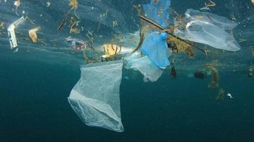 Quem jogar lixo no mar agora pode ser multado em até cinco salários mínimos Comissão do Meio Ambiente aprova projeto que pune quem jogar lixo plástico no mar Imagem de lixo no mar, sacolas plásticas e outros objetos poluentes - Reuters
