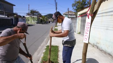Plantio de Árvores na Rua Azuil Loureiro Créditos Diego Marchi Guarujá abre inscrições para a segunda edição do ‘Jardineiros da cidade’ - Divulgação/Diego Marchi