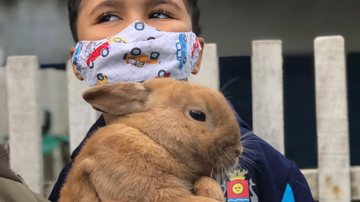 Estudante da rede municipal com coelho Estudantes de Guarujá tem a oportunidade de aprender junto aos coelhos - Divulgação/Prefeitura de Guarujá
