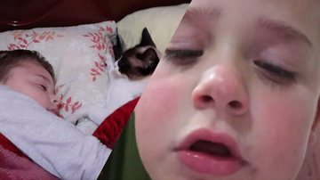 Criança aos prantos após perder amado gatinho - Reprodução/Facebook