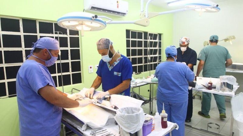 Divulgação/PMSJC
