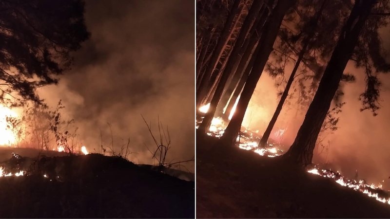 Chamas se alastram e chegam perto de residência em Jambeiro (SP) - Fotos: Monica Zanforlin