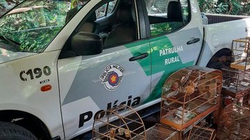 Homens mantêm pássaros em cativeiro e são multados em R$ 5 mil no litoral de SP - Foto: Polícia Ambiental