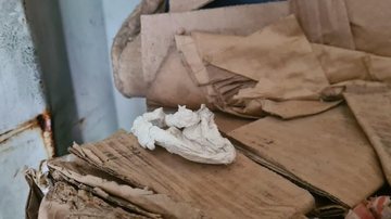 Toneladas de “lixo importado” são encontradas em contêineres no Porto de Santos - Imagem: divulgação / Ibama