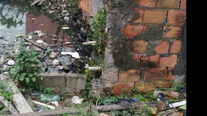 Toneladas de lixo são retiradas de Santos - Divulgação
