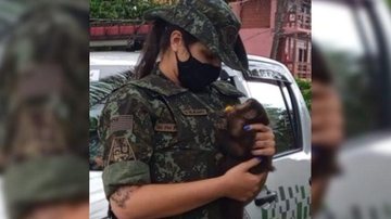 O animal permaneceu em observação para ser devolvido ao seu habitat natural Macaco-prego é resgatado em rodovia de Caraguatatuba (SP) - Foto: Polícia Ambiental