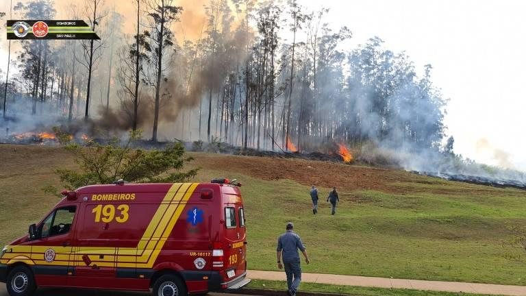 Aeronave caiu e explodiu em área de vegetação em Piracicaba, no interior de São Paulo Avião cai em Piracicaba (SP) e deixa empresário, família e tripulação mortos - Imagem: Divulgação / Corpo de Bombeiros
