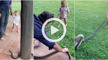Criança manuseando uma enorme píton sob a supervisão de seus pais Criança é filmada brincando com serpente e surpreende; VÍDEO - Foto: Matt Wright / Instagram