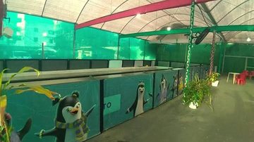 Patinação artística no gelo e hóquei Guarujá está tem 200 vagas disponíveis para hóquei e patinação artística no gelo Vagas disponíveis para hóquei e patinação artística no gelo - Divulgação/Helder Lima