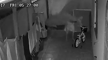 Ladrão escolhe o que levar em furto a residência Ladrão chupa-cabra: homem é flagrado roubando residência em Peruíbe (SP) - Imagem: Reprodução Facebook - Maah Pio