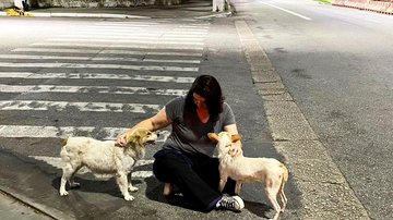Animais mudam o próprio destino com escolha simples - ONG Viva Bicho Santos