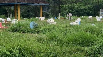 Túmulos em meio ao matagal no cemitério do Ipiranguinha A sete dias do Dia de Finados, cemitério do Ipiranguinha está destruído em Ubatuba (SP) cemiterio abandonado com muito mato por cima de tumulos - Foto: Divulgação Redes Sociais