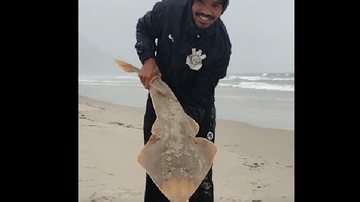 Pesca dessa espécie rara é proibida Impressionante: homem pesca 3 tubarões raros no mesmo dia e devolve ao mar Robson com um cação-viola nas mãos em direção ao mar - Reprodução