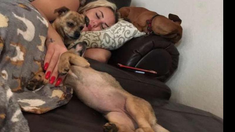 Dava e todos os animais resgatados, inclusive mãe e filhote  Mulher deitada no sofá dormindo com seus cachorros resgatados - Reprodução/Facebook