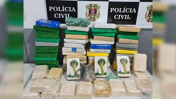 Polícia Civil apreende quase 65 quilos de drogas em Guarujá - Foto: Divulgação Polícia Civil