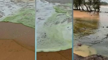 Segundo especialista espuma verde é reação de algas com poluíção e pode ser tóxica no contato Espuma verde surge em praia turística do ES e amedronta moradores - Imagem: reprodução