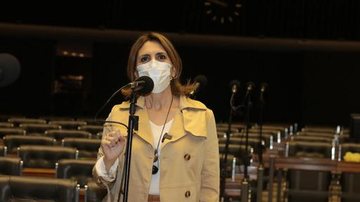 Deputada também pediu uma sessão solene na cidade de Santos para celebração da data (independência do Brasil) Rosana Valle cobra do Iphan tombamento do Panteão dos Andradas Deputada Federal Rosana Valle - Divulgação