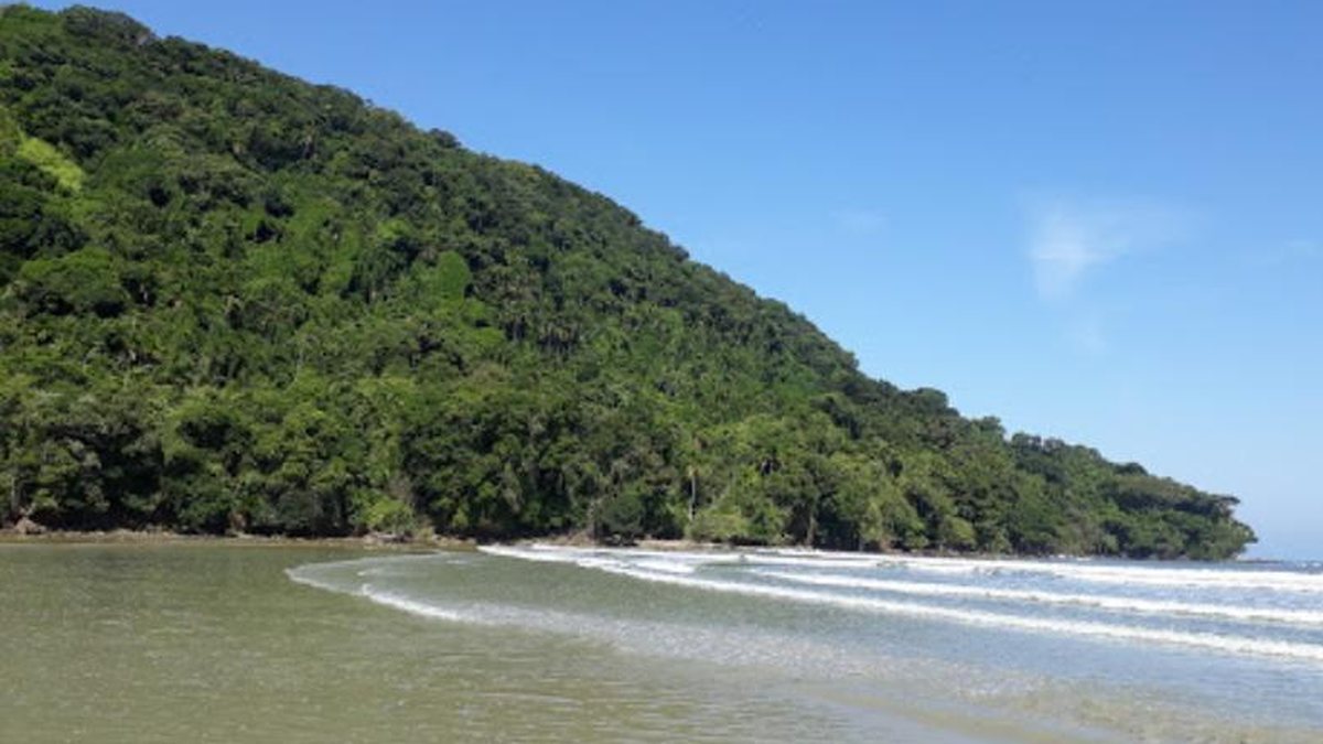 Praia de Boracéia: com mar calmo e águas claras, conheça uma das