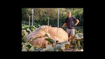 Stefano em sua plantação de abóboras gigantes na Itália Fazendeiro Italiano colhe abóbora gigante de 1,2 tonelada - Foto: Divulgação/Guiness World Records