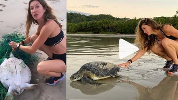 Tartaruga enroscada em rede de pesca é resgatada pela modelo Gisele Bündchen Tartaruga enroscada em rede de pesca é resgatada pela modelo Gisele Bündchen | VÍDEO - reprodução redes sociais