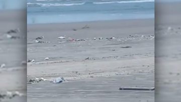 Internautas entram em debate após acusação de poluição de praia - Portal Costa Norte