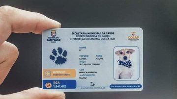 Registro é gratuito e emitido pela Polícia Militar do Estado de São Paulo RG de animal de estimação agora pode ser realizado de forma online RG de animal de estimação (carteirinha) - Divulgação
