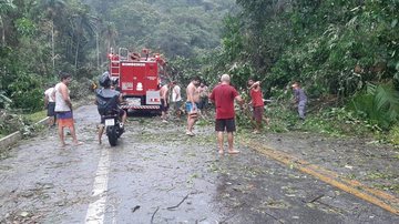 Tempestade que atingiu Ubatuba provocou estragos Chuva provoca estragos em Ubatuba (SP) arvores caidas em estrada - Foto: Divulgação