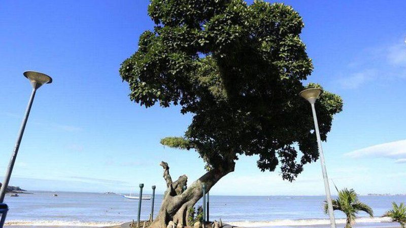 © Prefeitura de Rio das Ostras/Dir - © Prefeitura de Rio das Ostras/Dir