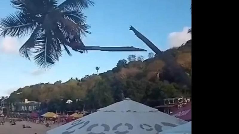 Primeiramente o homem foi levado ao hospital de Tibau do Sul e depois transferido ao Hospital Walfredo Gurgel, no período noturno Coqueiro se parte em dois e homem cai no chão em praia de Pipa l VÍDEO 'Coqueiro torto' cai com homem pendurado - Divulgação