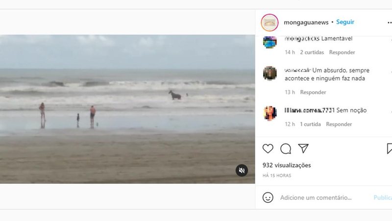 Flagra aconteceu neste domingo em praia de Mongaguá, no litoral paulista Cavalos de romaria invadem praia no litoral paulista; episódio gera debate nas redes sociais Cavalo tomando banho de mar em praia do litoral de São Paulo - Divulgação/Mongaguá News