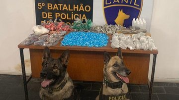 Drogas foram encontradas no chão do imóvel Cães farejadores descobrem mais de duas mil drogas em imóvel abandonado, em Guarujá Cães farejadores ao lado das drogas encontradas - Divulgação