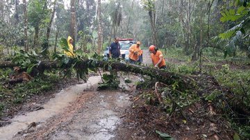Equipe da Sabesp trabalham na desobstrução, limpeza e desassoreamento de áreas de Ubatuba Ubatuba está em estado de atenção devido às chuvas Trabalhadores removem árvore caída de área de Ubatuba - Prefeitura de Ubatuba