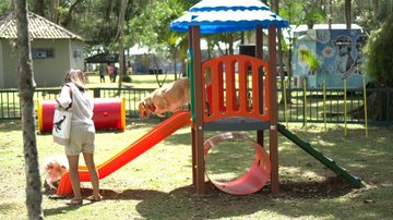Bertioga ganha Espaço Dog no Parque dos Tupiniquins - Divulgação PMB