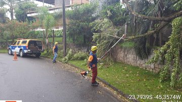 38,5 milímetros foram registrados nas últimas 24 horas no arquipélago Quedas de 14 árvores movem forças militares em Ilhabela (SP) - Imagem: divulgação PMI