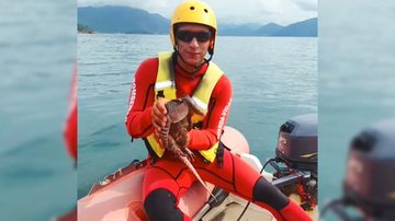 Guarda-vidas resgatam um tatu no mar de Ubatuba (SP) Tatu resgatado em Ubatuba - Divulgação GBMar
