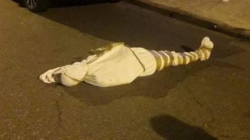 Ainda não há identificação do corpo, caso será investigado Corpo enrolado em um lençol é jogado em rua de Santos | VÍDEO Corpo enrolado em um lençol e jogado na rua - Reprodução Facebook