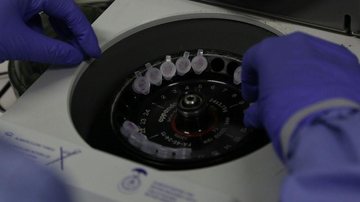 Divulgação/Josué Damacena (IOC/Fiocruz)