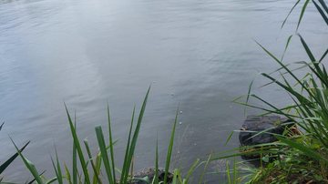 Homem informou não possuir carteirinha de pescador e foi autuado Rede de pesca de boiada - Polícia Ambiental Marítima