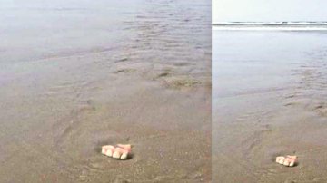 Morador encontra dentadura em praia de Mongaguá Turista encontra dentadura em praia de Mongaguá - Reprodução/Portal Costa Norte
