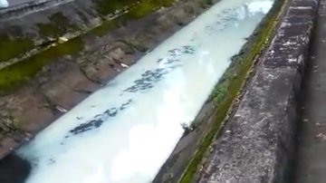 Conforme informações da Cetesb, ainda não há informações sobre o culpado pelo descarte irregular Água branca do Canal 2 Canal 2 de Santos, litoral de São Paulo, com a água totalmente branca - Divulgação