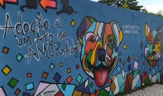 Pintura colorida anima quem passa Artista plástico colore muro no centro de Bertioga Focinho de chachorro e gato pintado com spray em muro - Reprodução Instagram