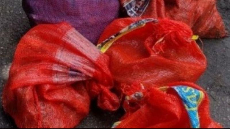 Polícia encontrou quarenta quilos de ostras, que estão em período de proteção por lei, conhecido como Defeso Dois homens são multados por extração ilegal de ostras em Ubatuba Sacos ceio de ostras - Divulgaação